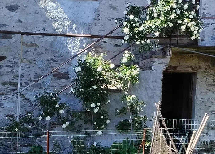 Il Forno